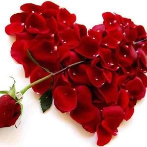 Meet your Posher, Lourdes maria